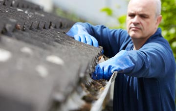 cleaning and inspecting Gilberts Green roofs