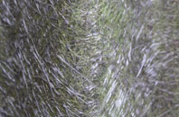 Gilberts Green fibreglass roof work